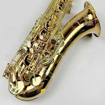 テナーサックス ヤナギサワ Yanagisawa T-WO20（ブロンズ） YANAGISAWA 【現物写真】T-WO20 テナーサックス ブロンズブラス製